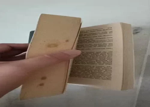 Charles Dickens Oliver Twist