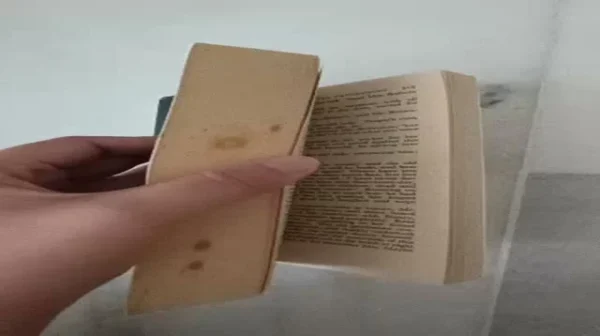 my-11110107-6v7oz-mkht910j591id0_cover.webp Charles Dickens Oliver Twist