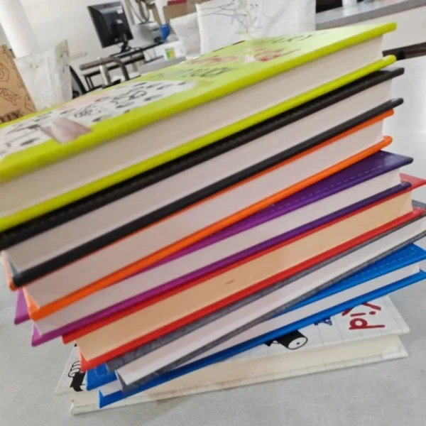 used BB7 WIM Diary of a Wimpy Kids The hard cover books