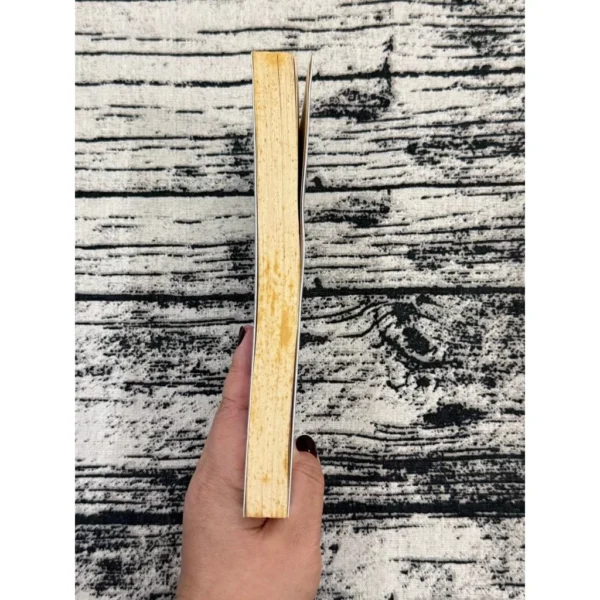 Red at the Bone Original Preloved Jacqueline Woodson Historical Fiction Literary Fiction