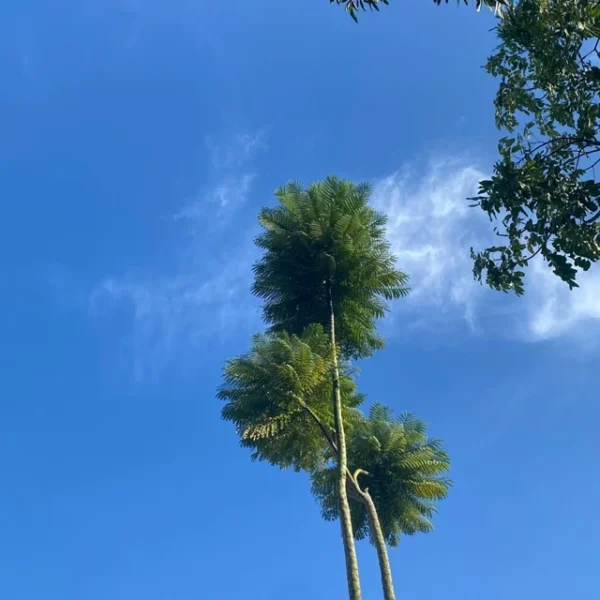 The Finance Book Second Edition Preloved